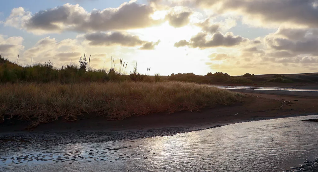 Port waikato snad dunes