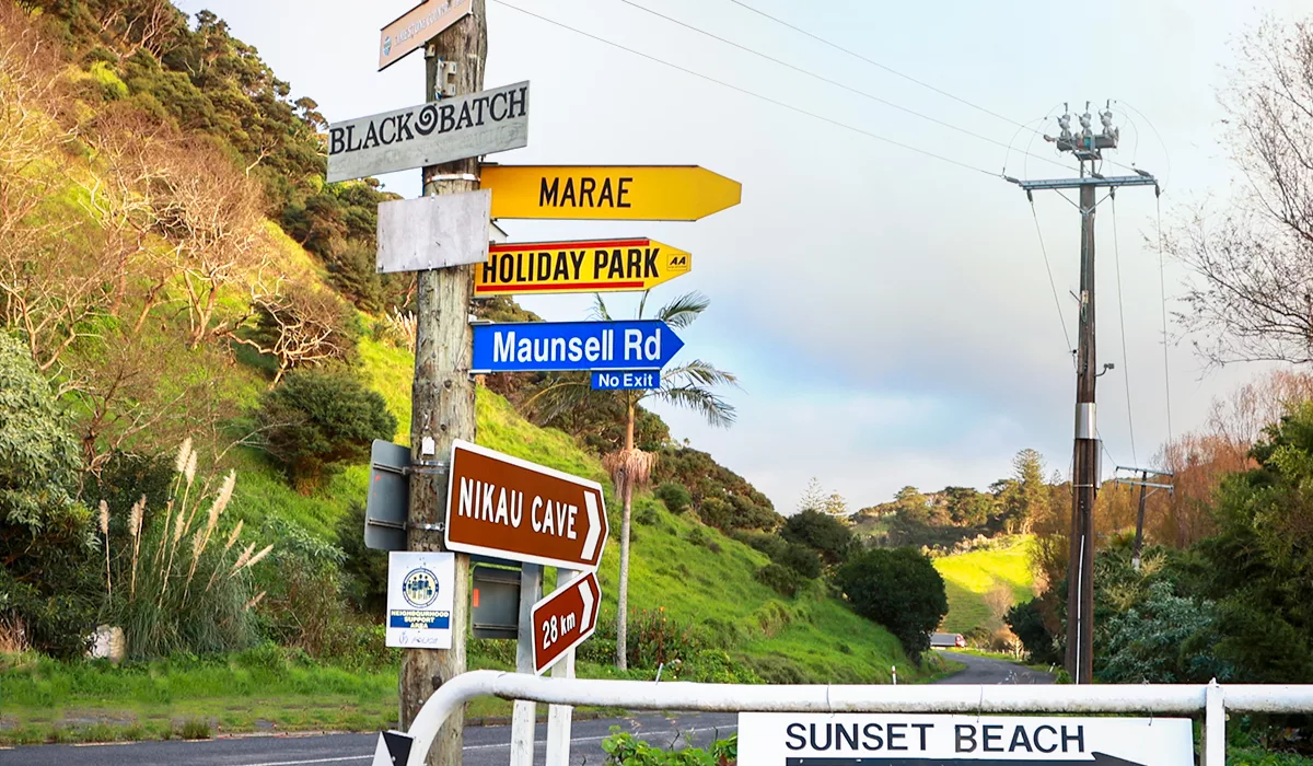 Five Fascinating Natural Marvels in and around Port Waikato | Sunset Beach