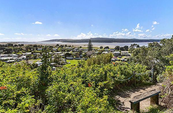 About Port Waikato NZ | Port Waikato Holiday Park
