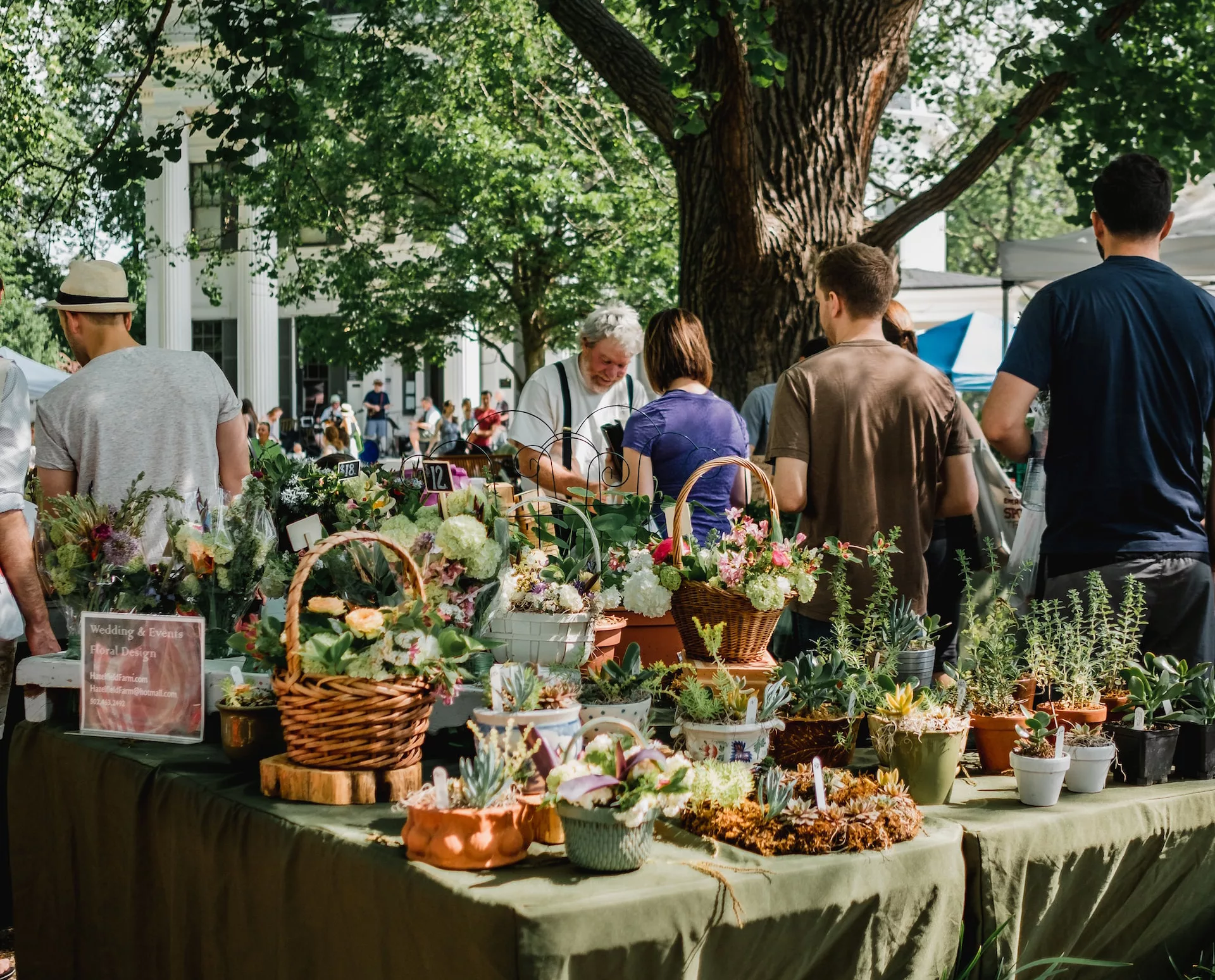 pokeno market new zealand | local attractions port waikato