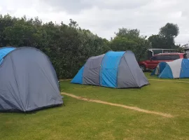 Tents Port Waikato Holiday Park